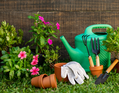gardening olm