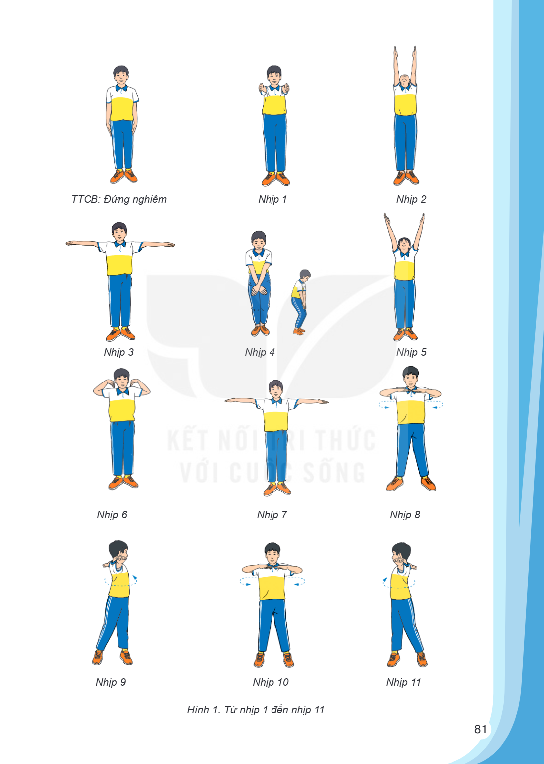 TTCB: Đứng nghiêm Nhịp 1 Nhịp 2 Nhịp 3 Nhịp 4 Nhịp 5 Nhịp 6 Nhịp 7 Nhịp 8 Nhịp 9 Nhịp 10 Nhịp 11 Hình 1. Từ nhịp 1 đến nhịp 11