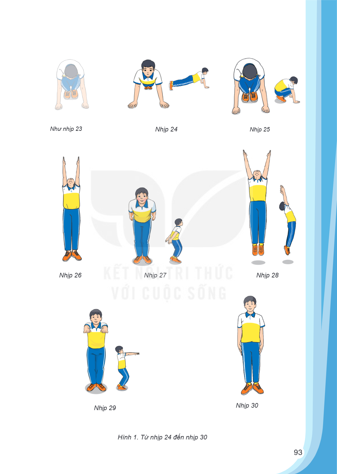 Như nhịp 23 Nhịp 24 Nhịp 25 Nhịp 26 Nhịp 27 Nhịp 28 30 Nhịp 29 Nhịp Hình 1. Từ nhịp 24 đến nhịp 30