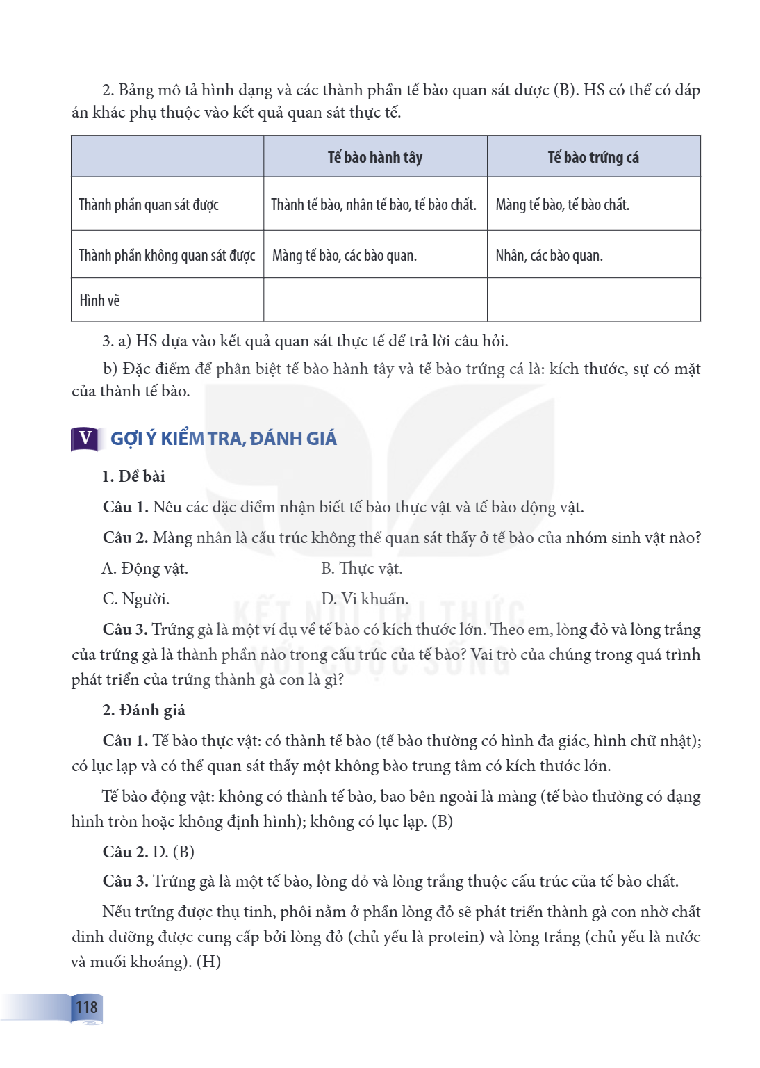 Bảng mô tả hình dạng và các thành phần tế bào quan sát được (B). HS có thể có đáp án khác phụ thuộc vào kết quả quan sát thực tế. Tế bào hành tây, Tế bào trứng 