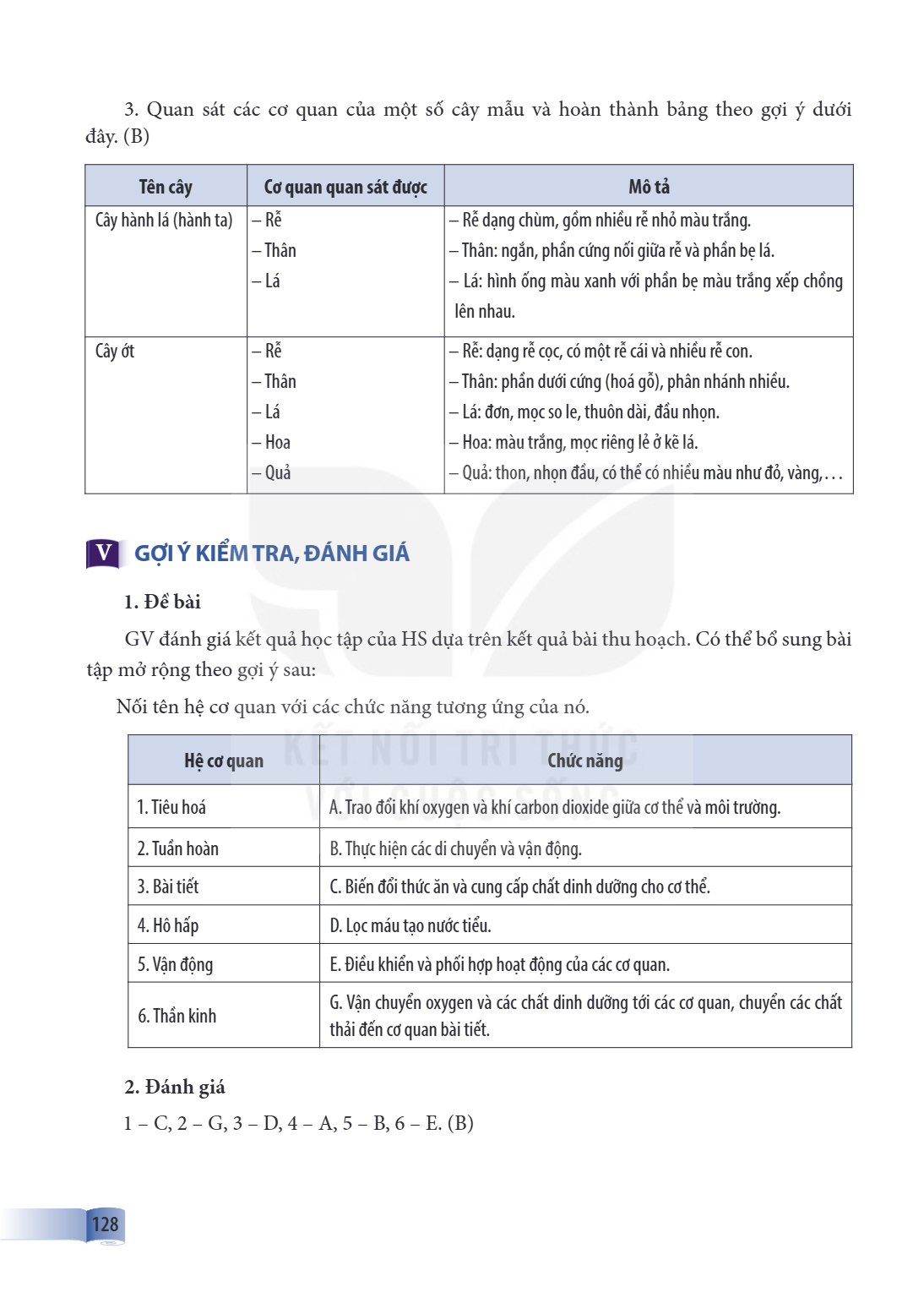 Quan sát các cơ quan của một số cây mẫu và hoàn thành bảng theo gợi ý dưới đây. (B) Tên cây, Cơ quan quan sát được, Mô tả Cây hành lá (hành ta), – Rễ – Thân – L