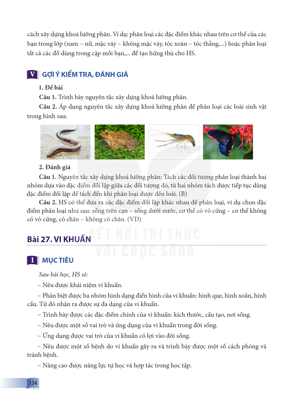 Bài 27. VI KHUẨN I MỤC TIÊU Sau bài học, HS sẽ: - Nêu được khái niệm vi khuẩn. - Phân biệt được ba nhóm hình dạng điển hình của vi khuẩn: hình que, hình xoắn, h