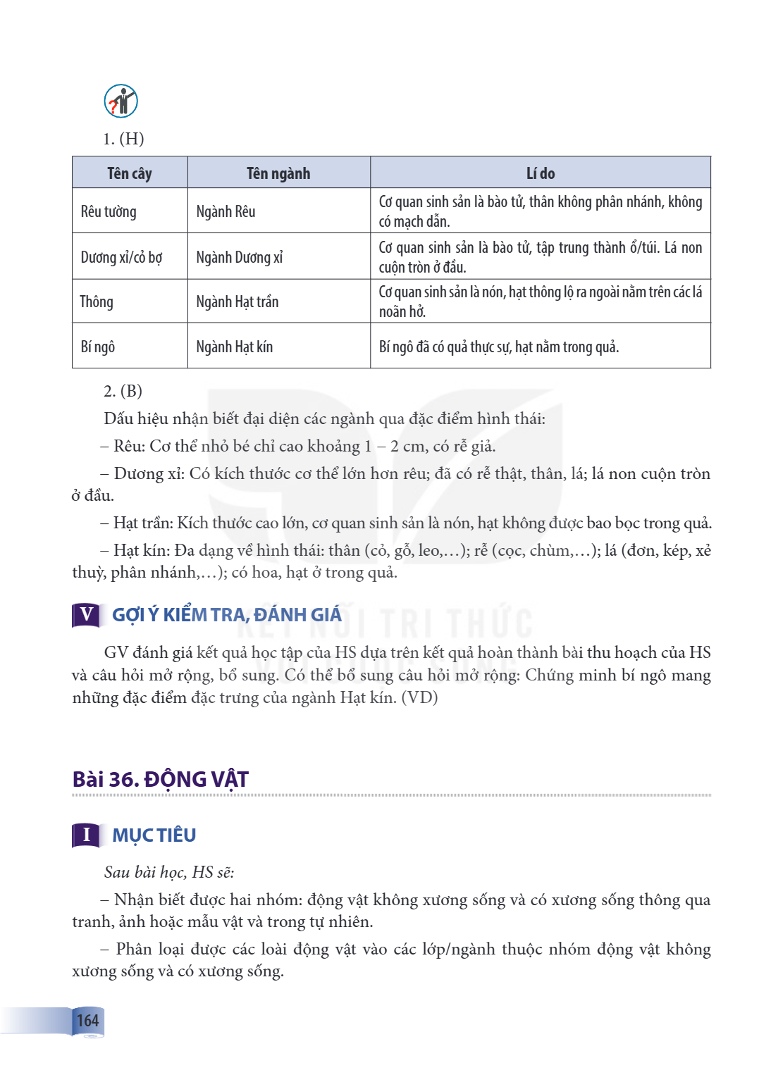 Bài 36. ĐỘNG VẬT I MỤC TIÊU Sau bài học, HS sẽ: – Nhận biết được hai nhóm: động vật không xương sống và có xương sống thông qua tranh, ảnh hoặc mẫu vật và trong