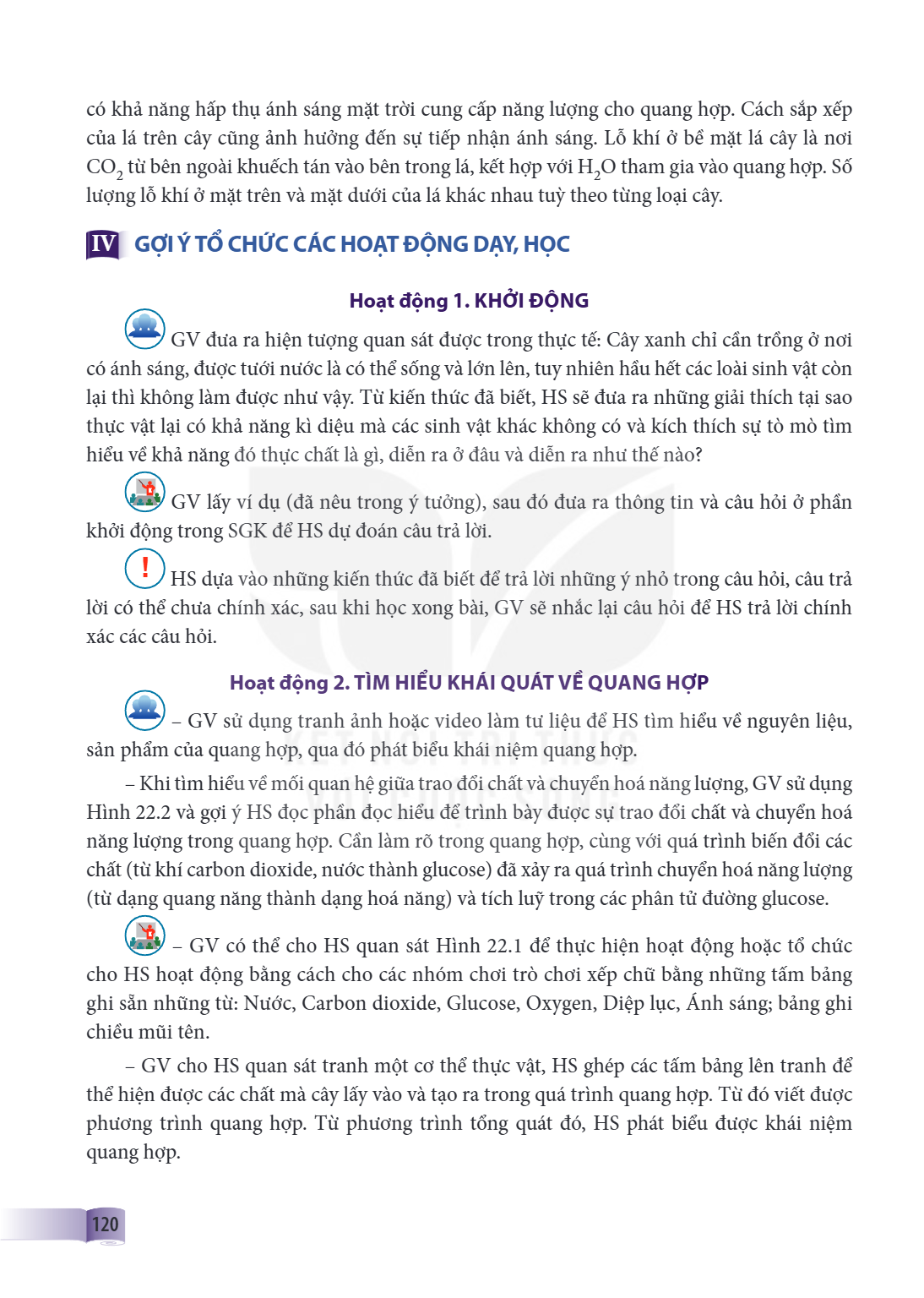 có khả năng hấp thụ ánh sáng mặt trời cung cấp năng lượng cho quang hợp. Cách sắp xếp của lá trên cây cũng ảnh hưởng đến sự tiếp nhận ánh sáng. Lỗ khí ở bề mặt 