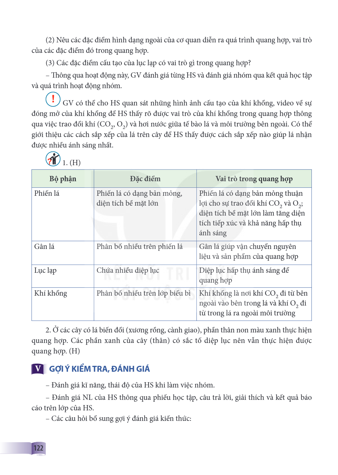 (2) Nêu các đặc điểm hình dạng ngoài của cơ quan diễn ra quá trình quang hợp, vai trò của các đặc điểm đó trong quang hợp. (3) Các đặc điểm cấu tạo của lục lạp 