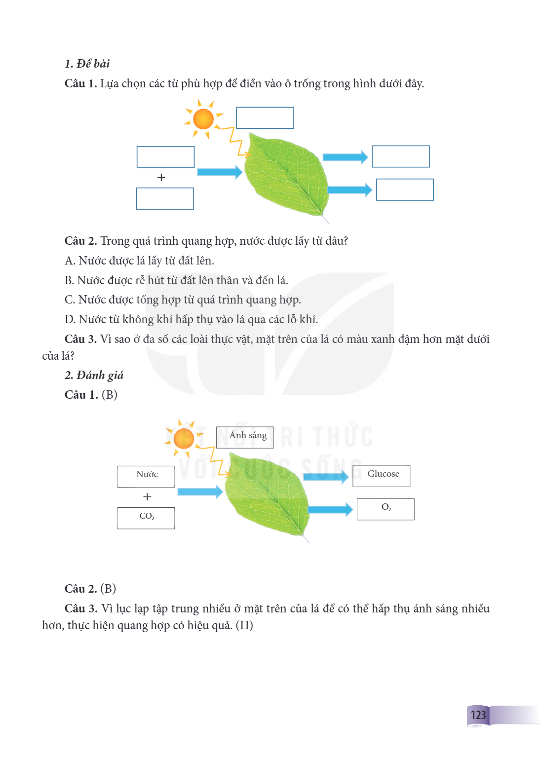 1. Đề bài Câu 1. Lựa chọn các từ phù hợp để điền vào ô trống trong hình dưới đây. + Câu 2. Trong quá trình quang hợp, nước được lấy từ đâu? A. Nước được lá lấy 