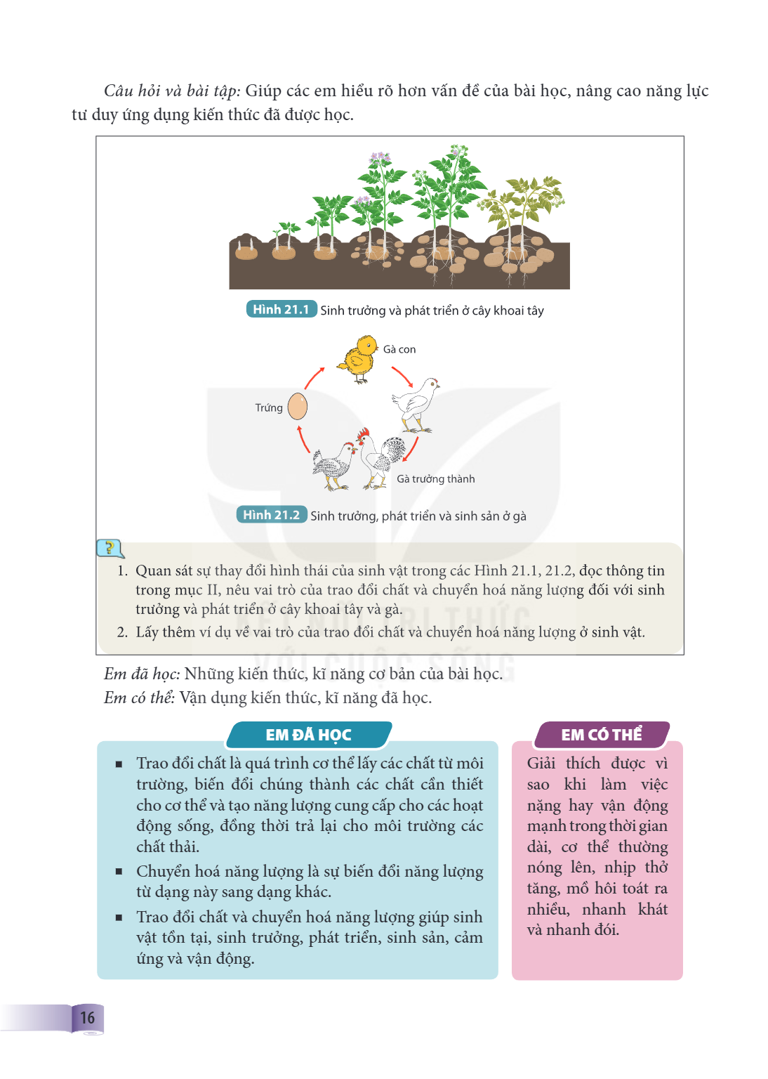 Trang 16