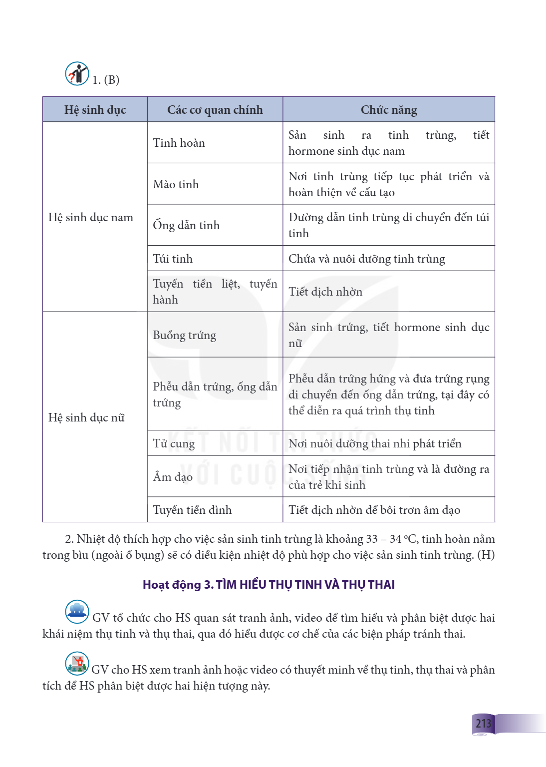 (B) Hệ sinh dục Các cơ quan chính Tinh hoàn Mào tinh Hệ sinh dục nam Ống dẫn tinh Túi tinh Tuyến tiền liệt, tuyến hành Buồng trứng Phễu dẫn trứng, ống dẫn trứng