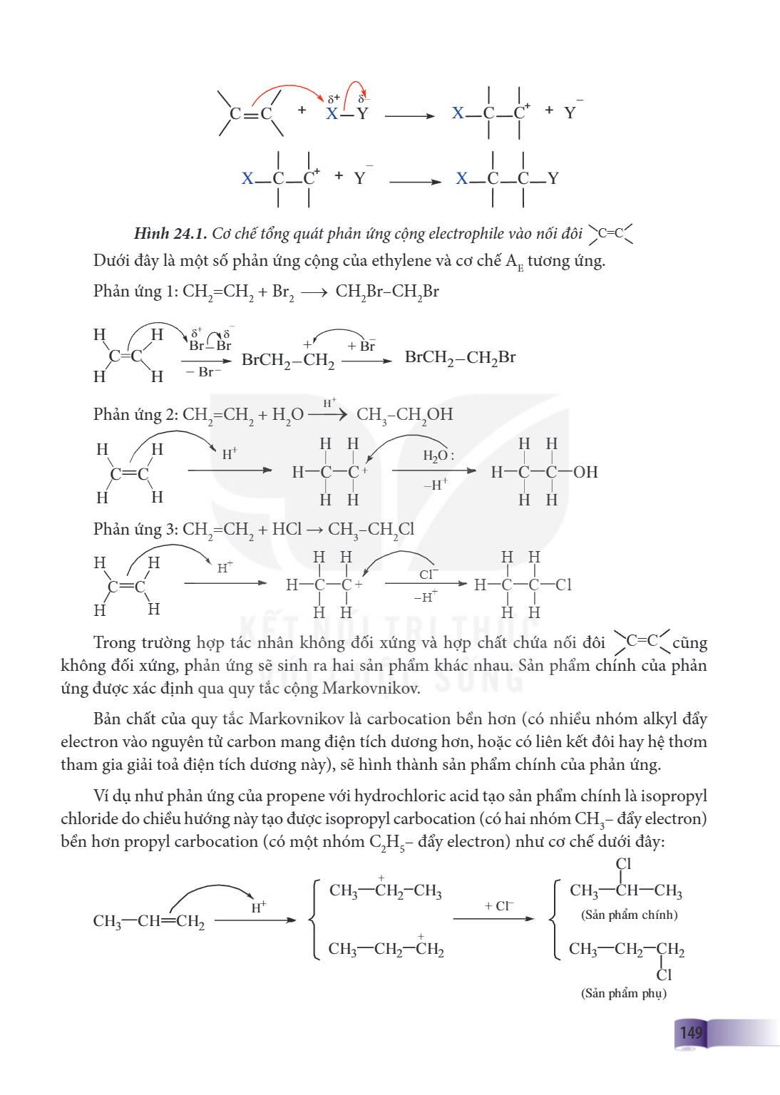 Hình 24.1. Cơ chế tổng quát phản ứng cộng electrophile vào nối đôi >C=C< Dưới đây là một số phản ứng cộng của ethylene và cơ chế $A_E$ tương ứng. Phản ứng 1: $\