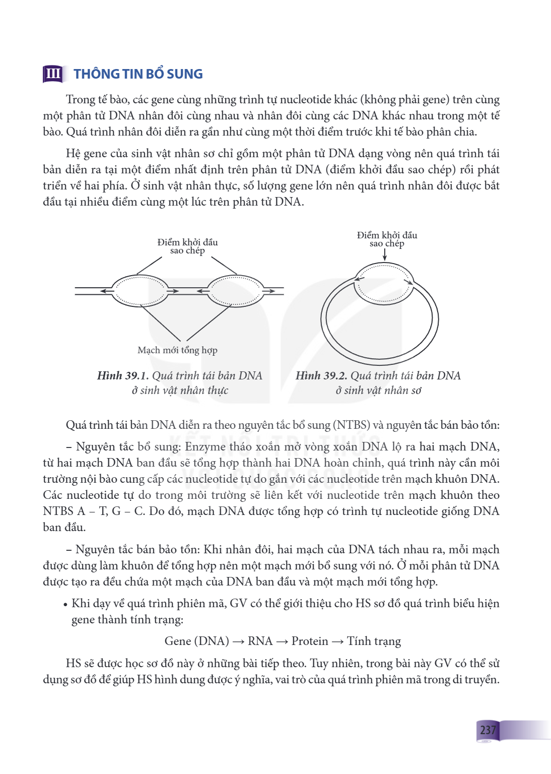 III THÔNG TIN BỔ SUNG Trong tế bào, các gene cùng những trình tự nucleotide khác (không phải gene) trên cùng một phân tử DNA nhân đôi cùng nhau và nhân đôi cùng
