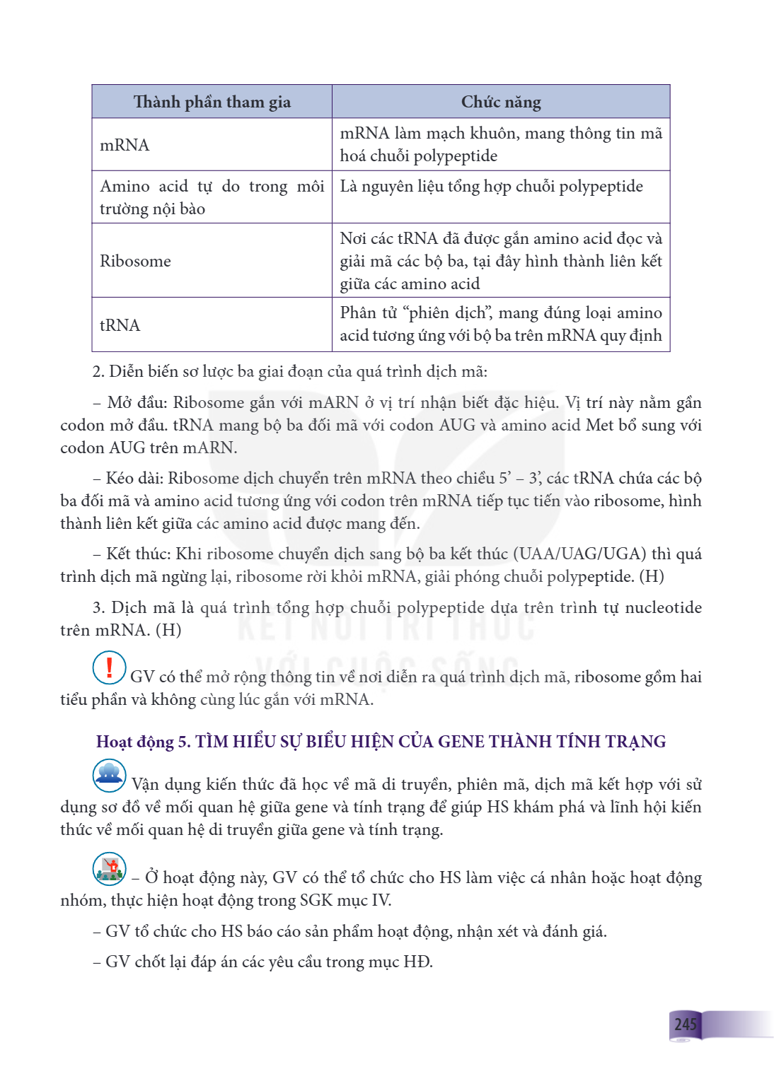 Th ành phần tham gia, Chức năng mRNA Amino acid tự do trong môi trường nội bào, Là nguyên liệu tổng hợp chuỗi polypeptide Ribosome, giải mã các bộ ba, tại đây h