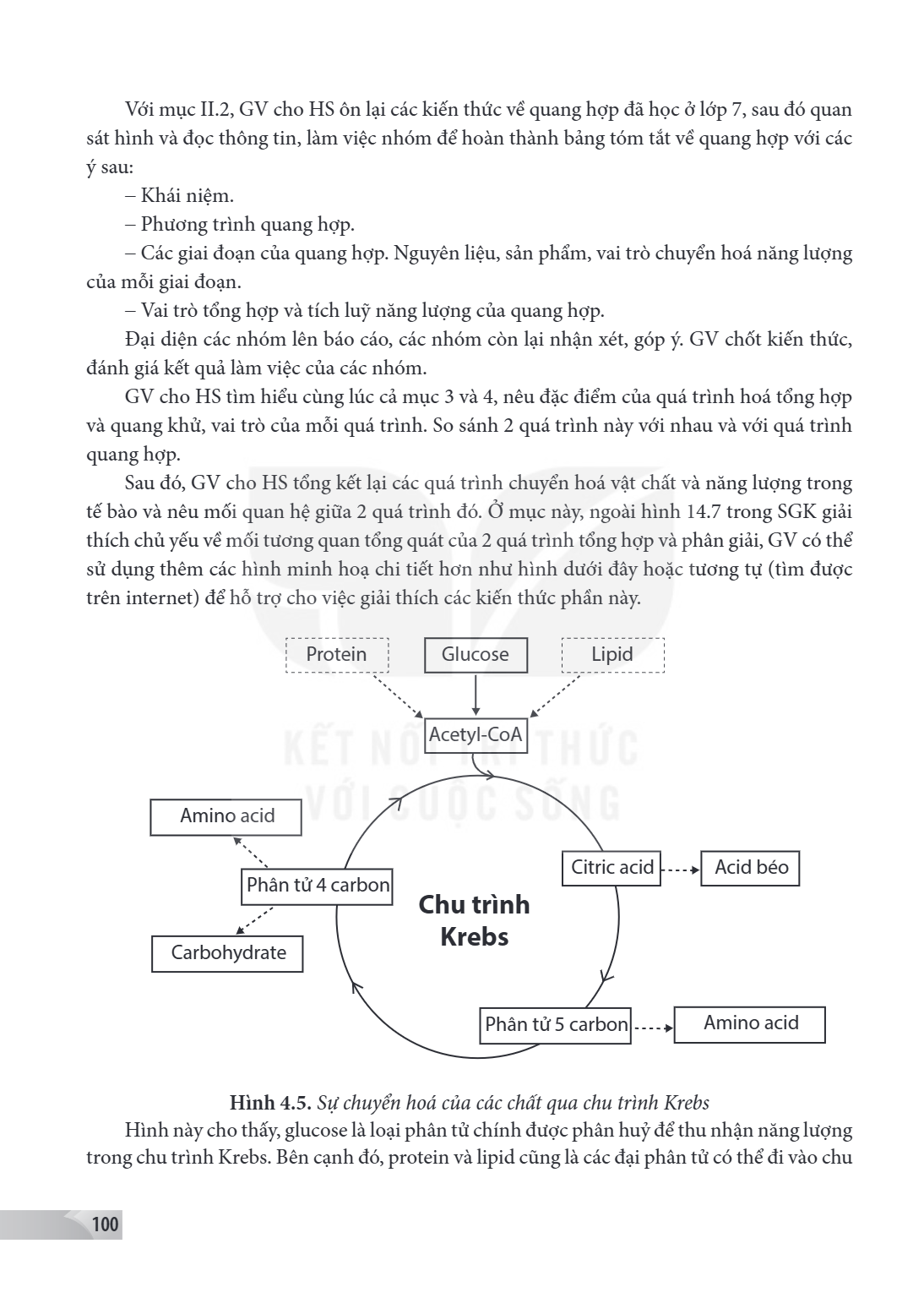Với mục II.2, GV cho HS ôn lại các kiến thức về quang hợp đã học ở lớp 7, sau đó quan sát hình và đọc thông tin, làm việc nhóm để hoàn thành bảng tóm tắt về qua