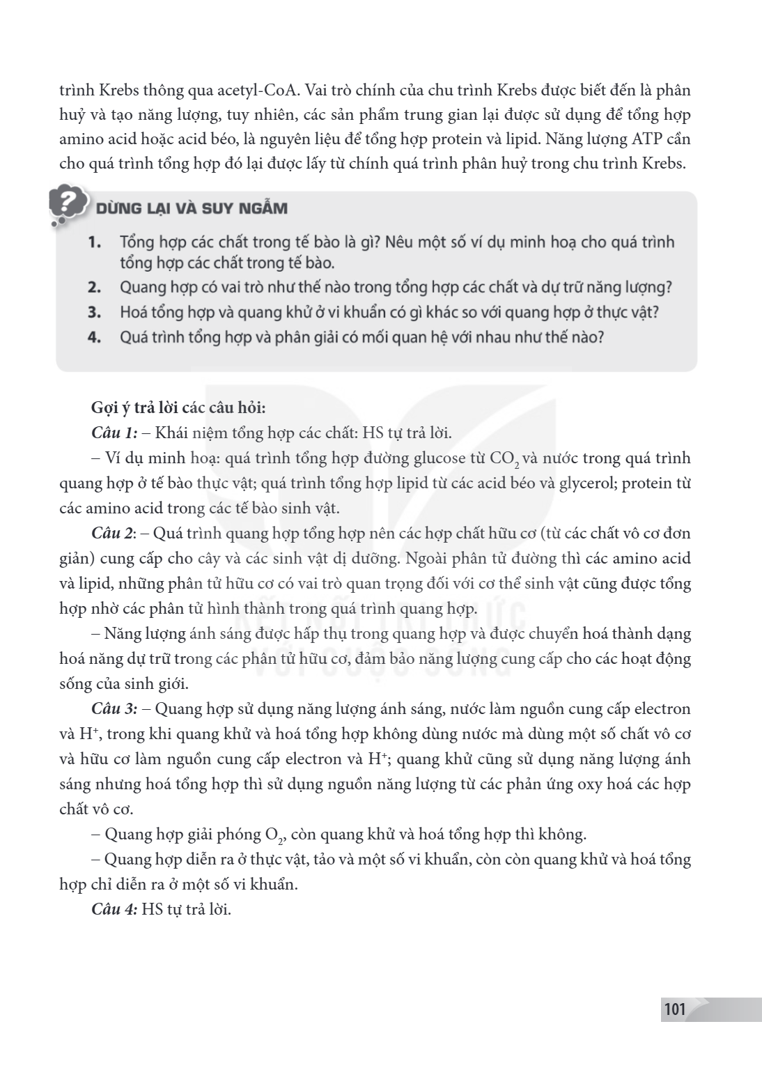 trình Krebs thông qua acetyl-CoA. Vai trò chính của chu trình Krebs được biết đến là phân huỷ và tạo năng lượng, tuy nhiên, các sản phẩm trung gian lại được sử 