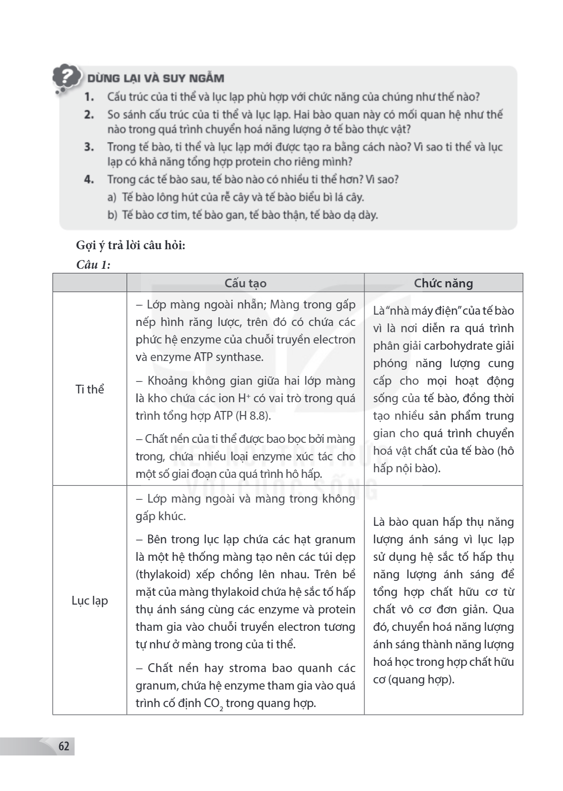 DỪNG LẠI VÀ SUY NGẪM Cấu trúc của ti thể và lục lạp phù hợp với chức năng của chúng như thế nào? So sánh cấu trúc của ti thể và lục lạp. Hai bào quan này có mối