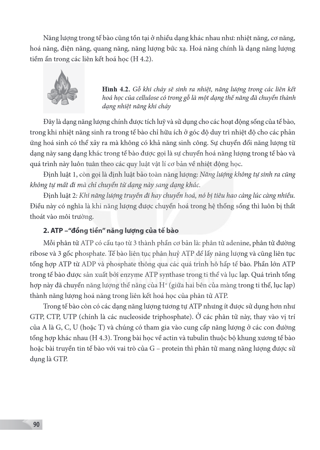 Năng lượng trong tế bào cũng tồn tại ở nhiều dạng khác nhau như: nhiệt năng, cơ năng, hoá năng, điện năng, quang năng, năng lượng bức xạ. Hoá năng chính là dạng