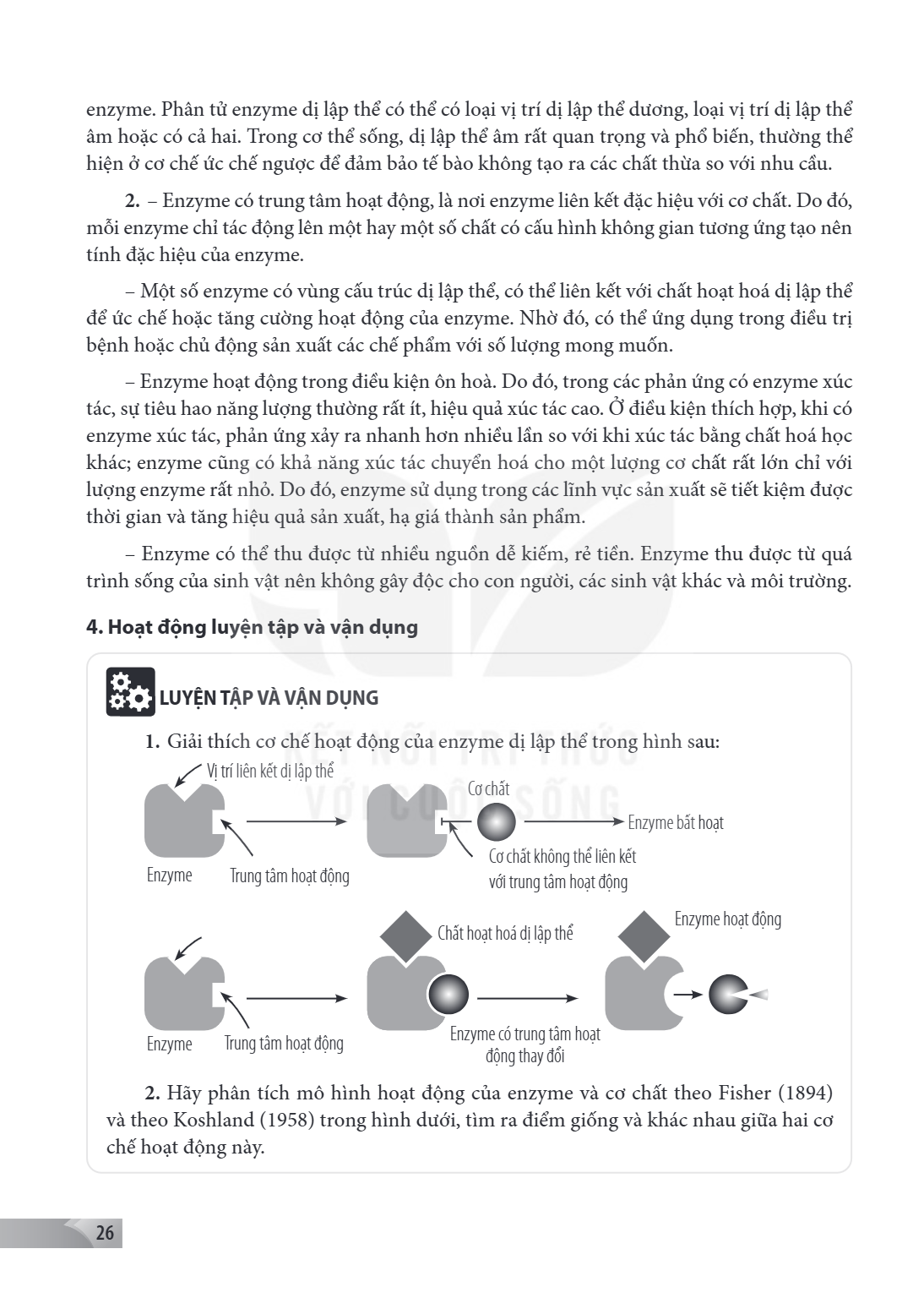 enzyme. Phân tử enzyme dị lập thể có thể có loại vị trí dị lập thể dương, loại vị trí dị lập thể âm hoặc có cả hai. Trong cơ thể sống, dị lập thể âm rất quan tr