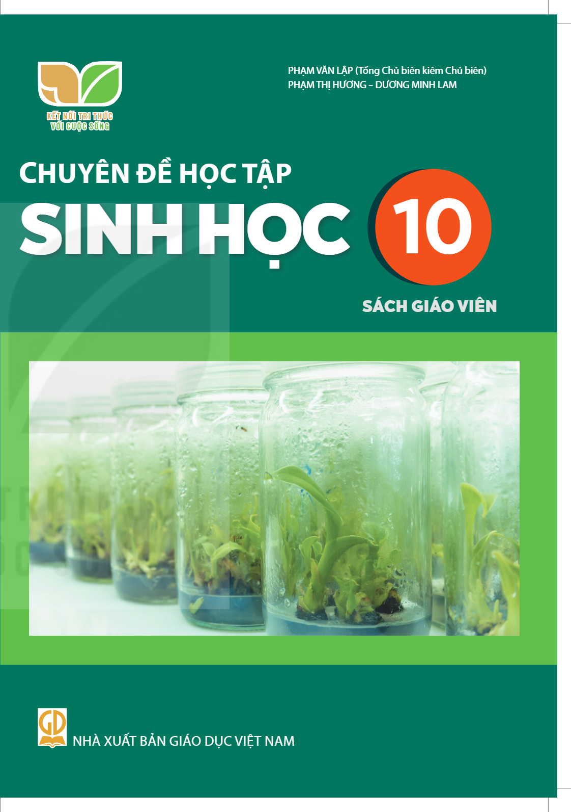 cover-first