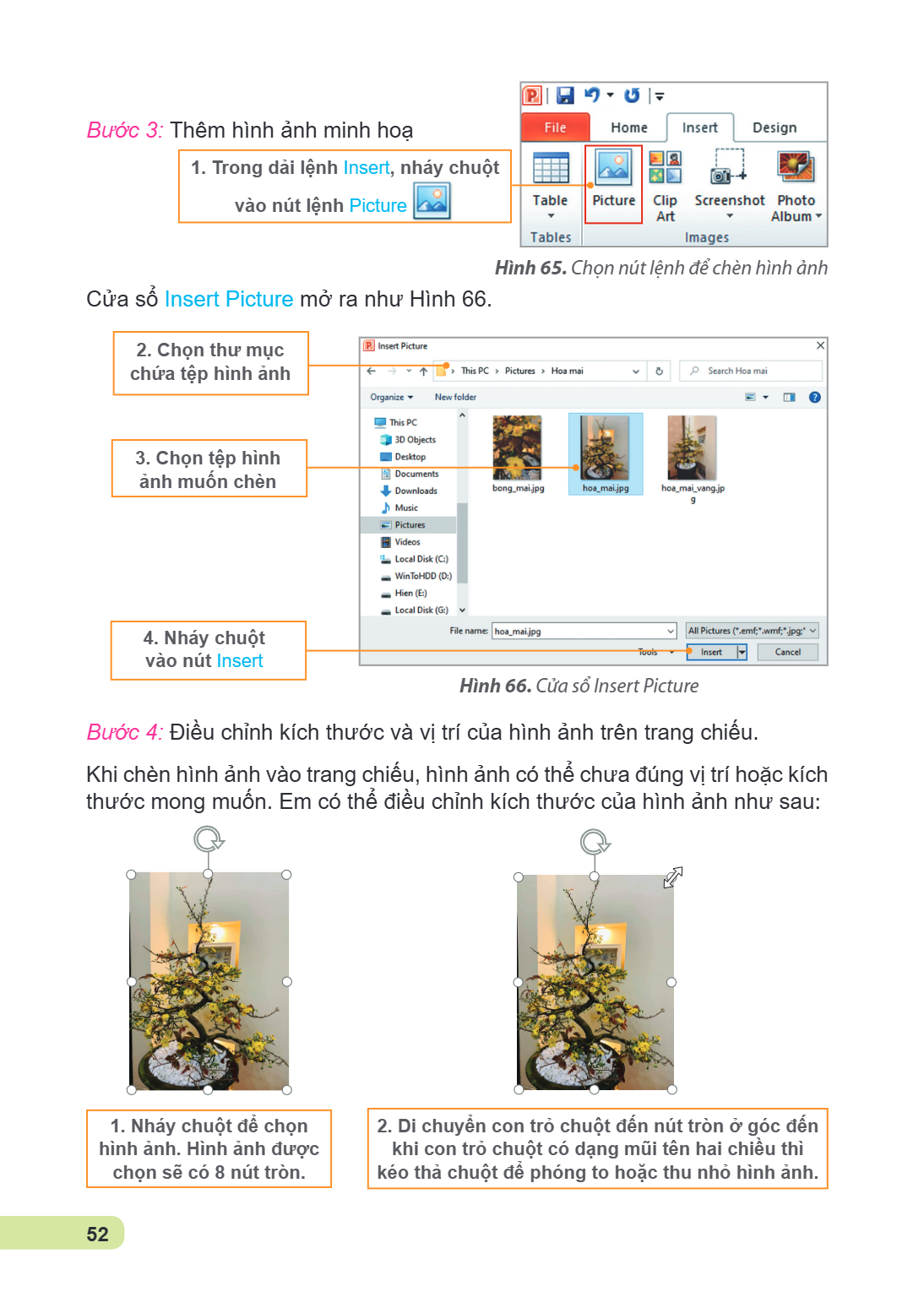 Bước 3: Thêm hình ảnh minh hoạ 1. Trong dải lệnh Insert, nháy chuột vào nút lệnh Picture Hình 65. Chọn nút lệnh để chèn hình ảnh Cửa sổ Insert Picture mở ra như