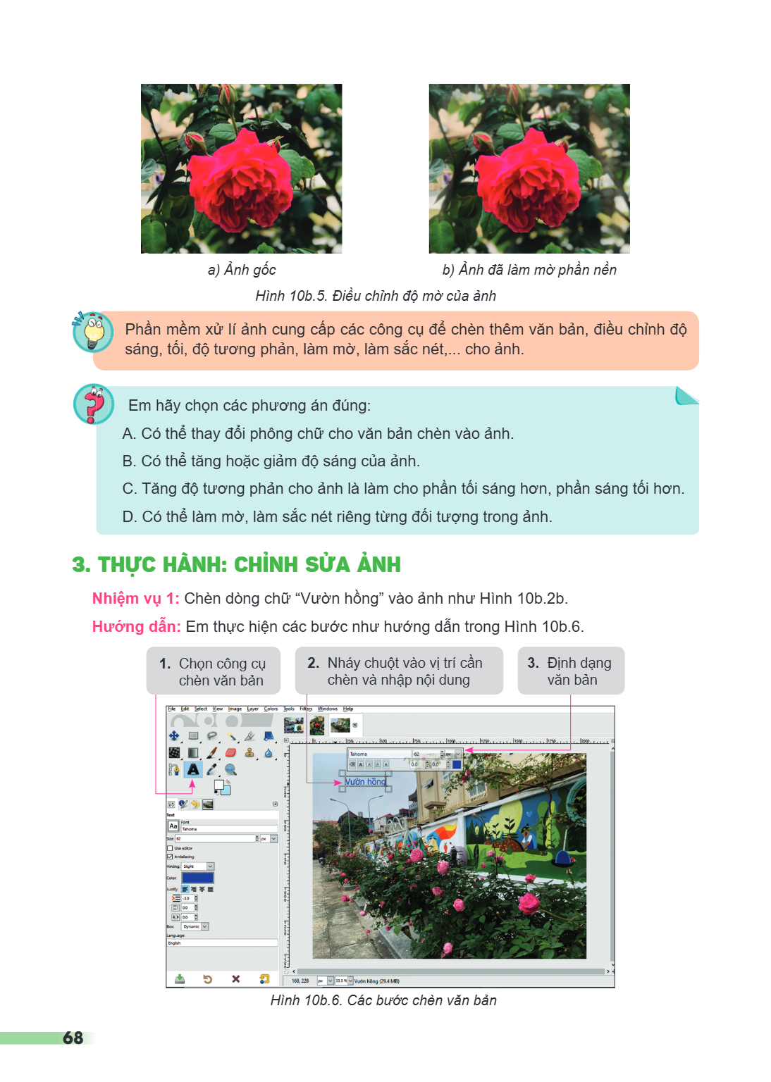 a) Ảnh gốc b) Ảnh đã làm mờ phần nền Hình 10b.5. Điều chỉnh độ mờ của ảnh Phần mềm xử lí ảnh cung cấp các công cụ để chèn thêm văn bản, điều chỉnh độ sáng, tối,