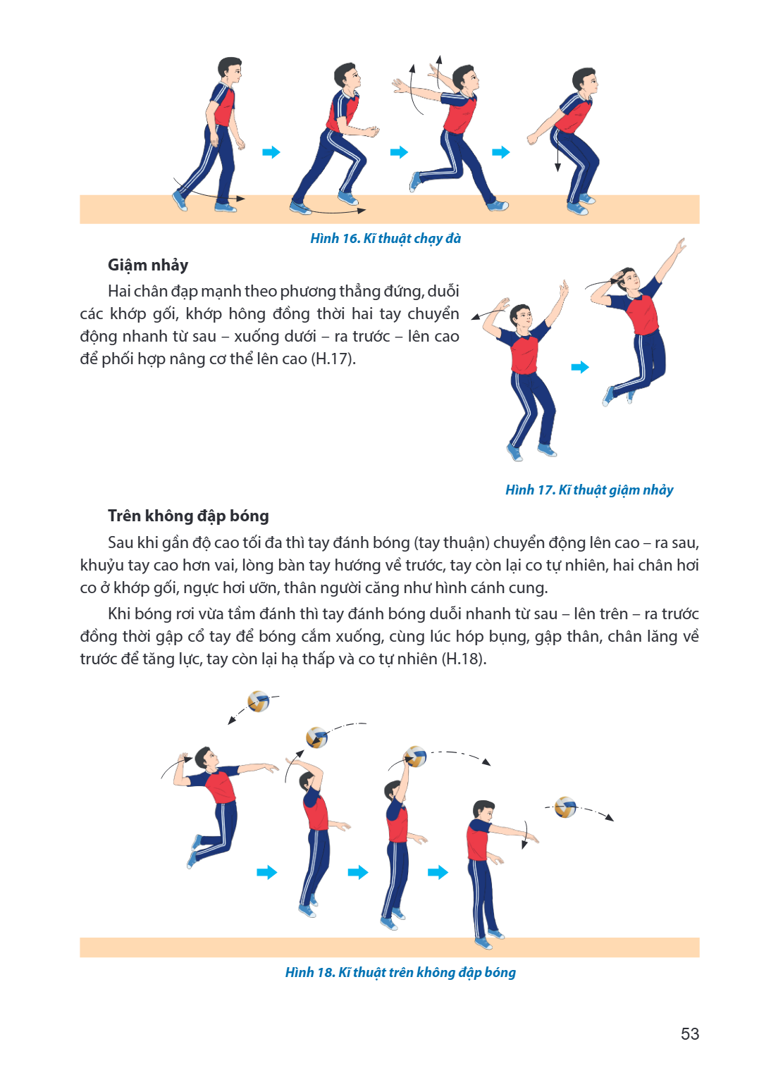 Hình 16. Kĩ thuật chạy đà Giậm nhảy Hai chân đạp mạnh theo phương thẳng đứng, duỗi các khớp gối, khớp hông đồng thời hai tay chuyển động nhanh từ sau - xuống dư