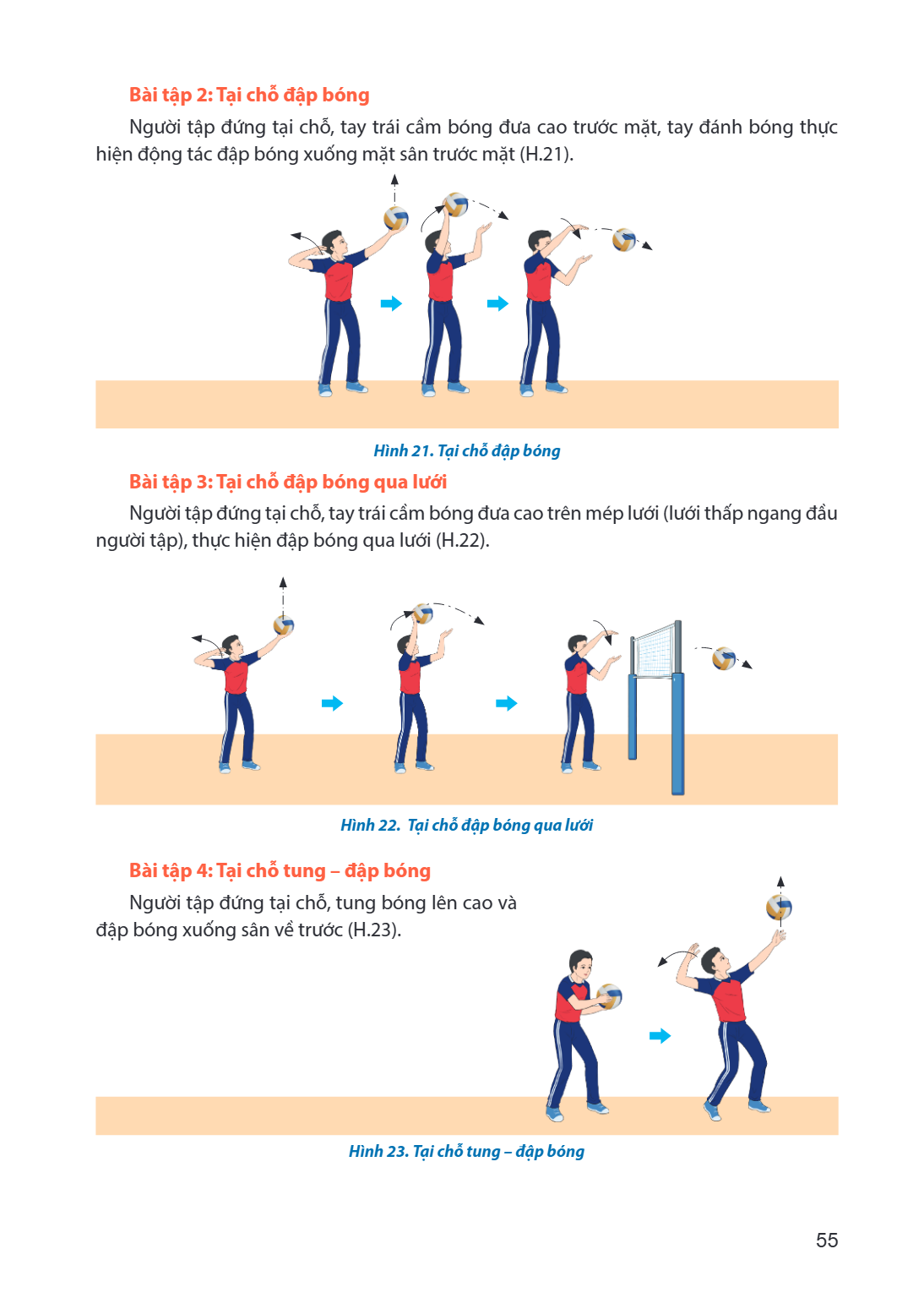Bài tập 2: Tại chỗ đập bóng Người tập đứng tại chỗ, tay trái cầm bóng đưa cao trước mặt, tay đánh bóng thực hiện động tác đập bóng xuống mặt sân trước mặt (H.21