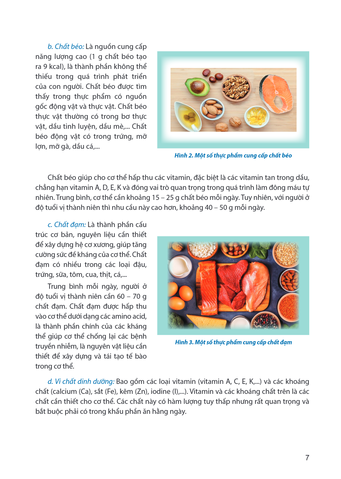 b. Chất béo: Là nguồn cung cấp năng lượng cao (1 g chất béo tạo ra 9 kcal), là thành phần không thể thiếu trong quá trình phát triển của con người. Chất béo đượ
