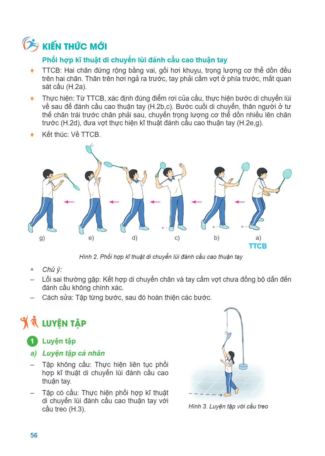 KIẾN THỨC MỚI Phối hợp kĩ thuật di chuyển lùi đánh cầu cao thuận tay ♦ TTCB: Hai chân đứng rộng bằng vai, gối hơi khuỵu, trọng lượng cơ thể dồn đều trên hai châ