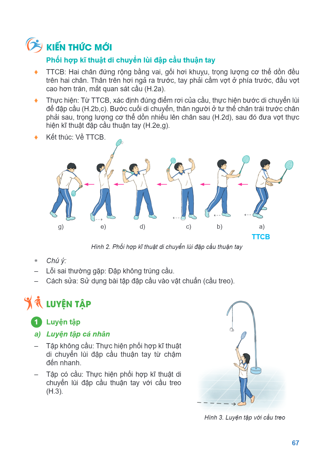 KIẾN THỨC MỚI Phối hợp kĩ thuật di chuyển lùi đập cầu thuận tay ♦ TTCB: Hai chân đứng rộng bằng vai, gối hơi khuỵu, trọng lượng cơ thể dồn đều trên hai chân. Th