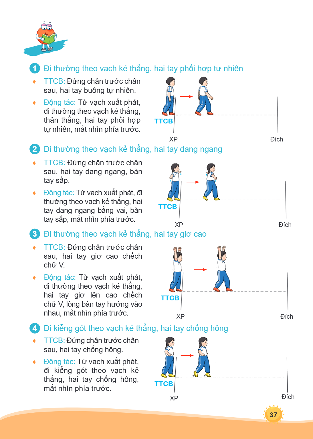 1 Đi thường theo vạch kẻ thẳng, hai tay phối hợp tự nhiên ♦ TTCB: Đứng chân trước chân sau, hai tay buông tự nhiên. ♦ Động tác: Từ vạch xuất phát, đi thường the