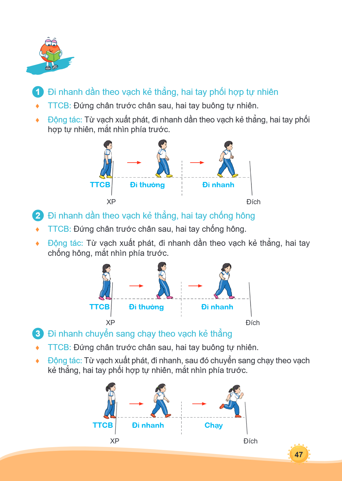 1 Đi nhanh dần theo vạch kẻ thẳng, hai tay phối hợp tự nhiên ♦ TTCB: Đứng chân trước chân sau, hai tay buông tự nhiên. ♦ Động tác: Từ vạch xuất phát, đi nhanh d