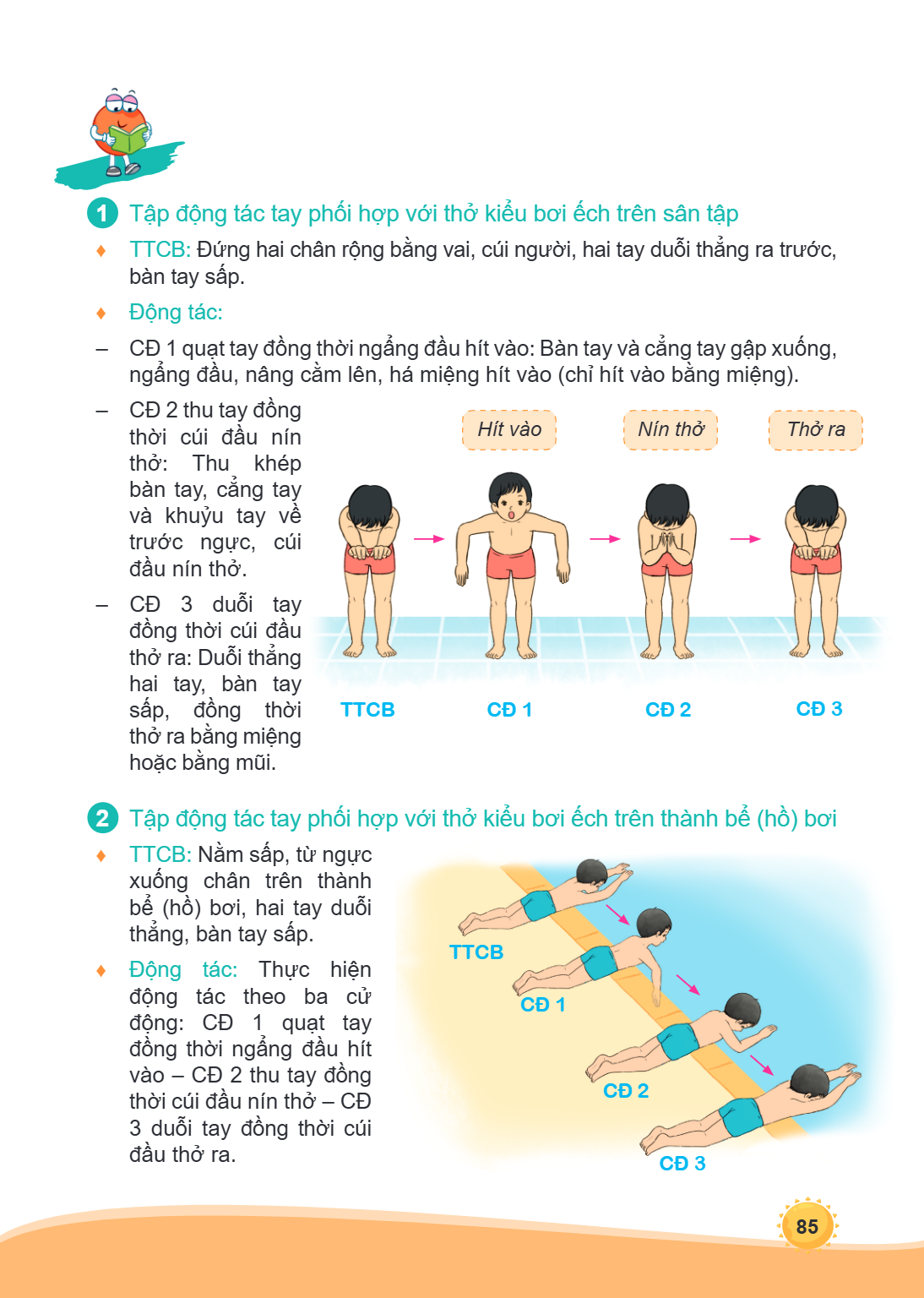 1 Tập động tác tay phối hợp với thở kiểu bơi ếch trên sân tập ♦ TTCB: Đứng hai chân rộng bằng vai, cúi người, hai tay duỗi thẳng ra trước, bàn tay sấp. ♦ Động t