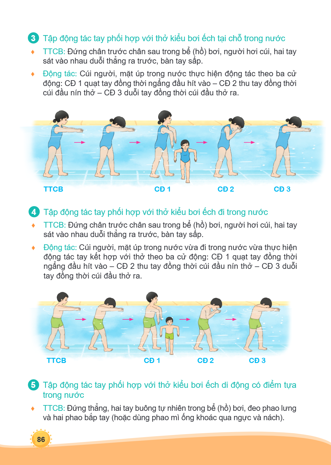 3 Tập động tác tay phối hợp với thở kiểu bơi ếch tại chỗ trong nước ♦ TTCB: Đứng chân trước chân sau trong bể (hồ) bơi, người hơi cúi, hai tay sát vào nhau duỗi