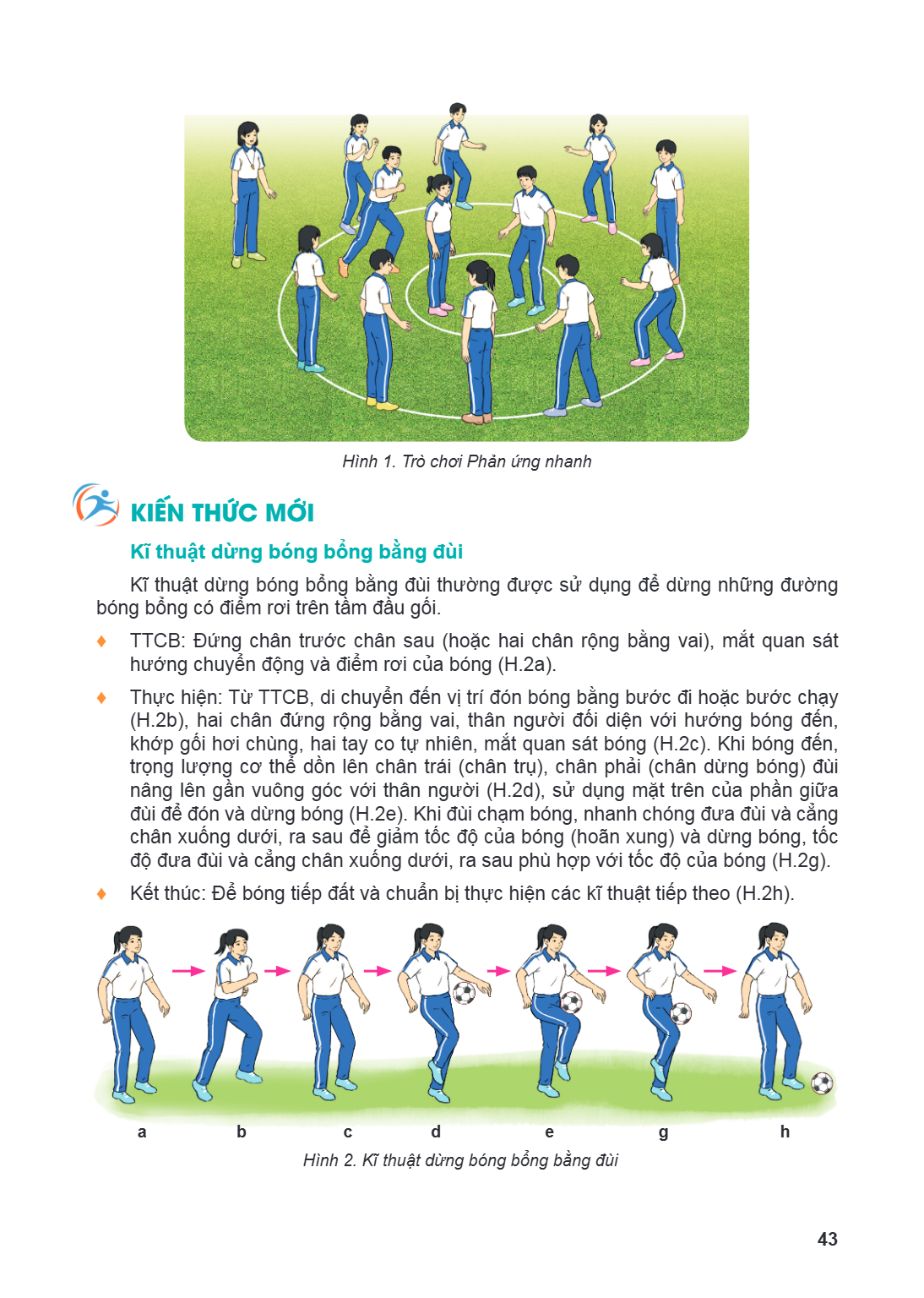 Hình 1. Trò chơi Phản ứng nhanh kiến thức mới Kĩ thuật dừng bóng bổng bằng đùi Kĩ thuật dừng bóng bổng bằng đùi thường được sử dụng để dừng những đường bóng bổn
