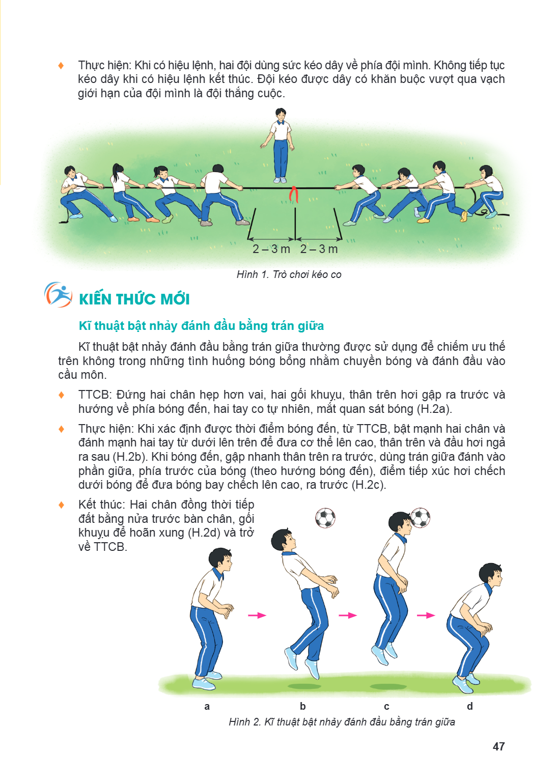 ♦ Thực hiện: Khi có hiệu lệnh, hai đội dùng sức kéo dây về phía đội mình. Không tiếp tục kéo dây khi có hiệu lệnh kết thúc. Đội kéo được dây có khăn buộc vượt q