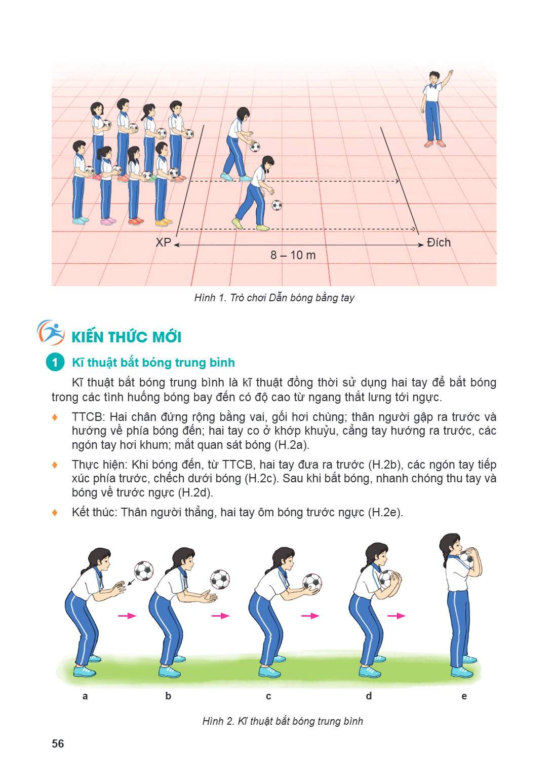 XP Đích 8 - 10 m Hình 1. Trò chơi Dẫn bóng bằng tay kiến thức mới 1 Kĩ thuật bắt bóng trung bình Kĩ thuật bắt bóng trung bình là kĩ thuật đồng thời sử dụng hai 