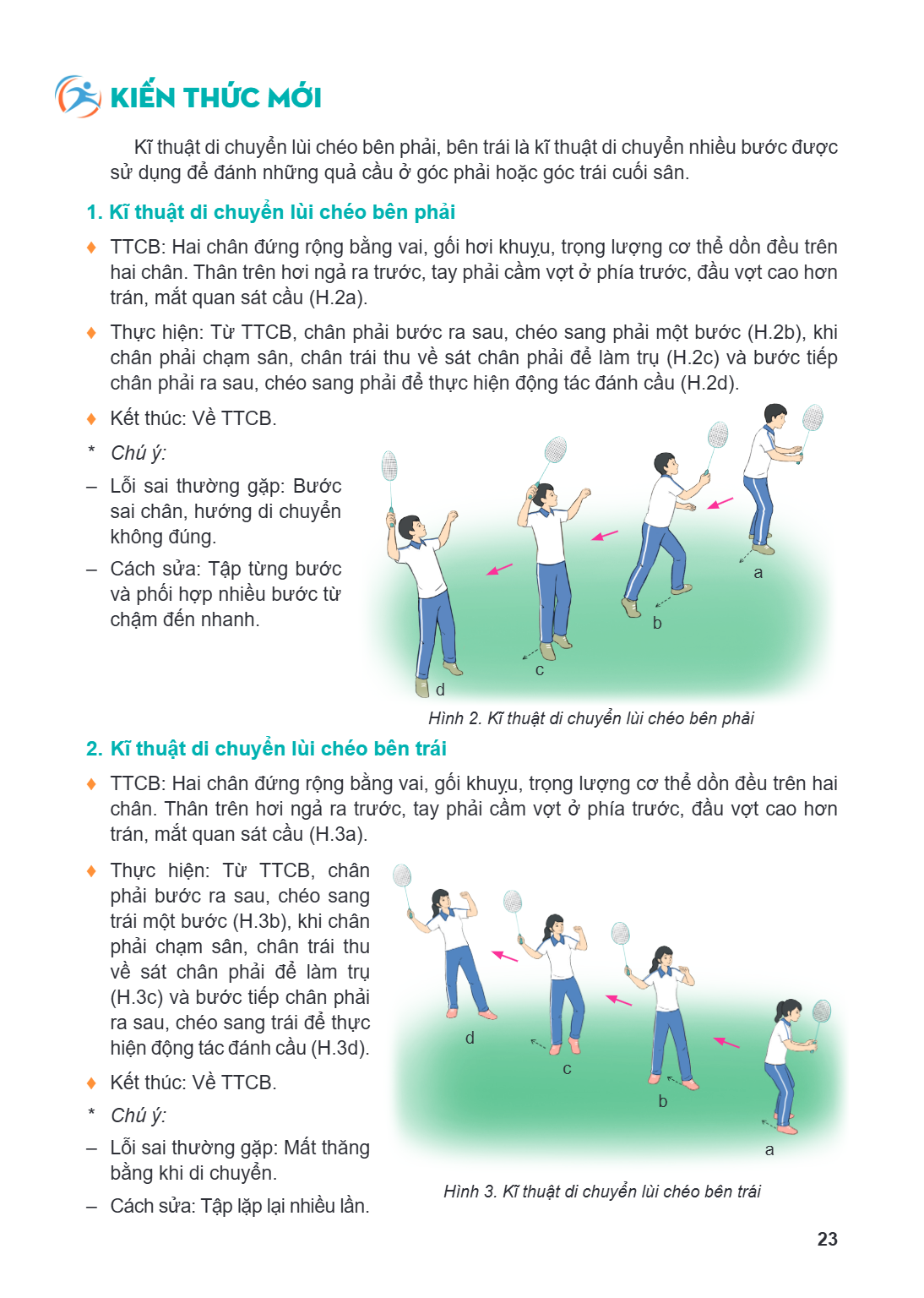 kiến thức mới Kĩ thuật di chuyển lùi chéo bên phải, bên trái là kĩ thuật di chuyển nhiều bước được sử dụng để đánh những quả cầu ở góc phải hoặc góc trái cuối s