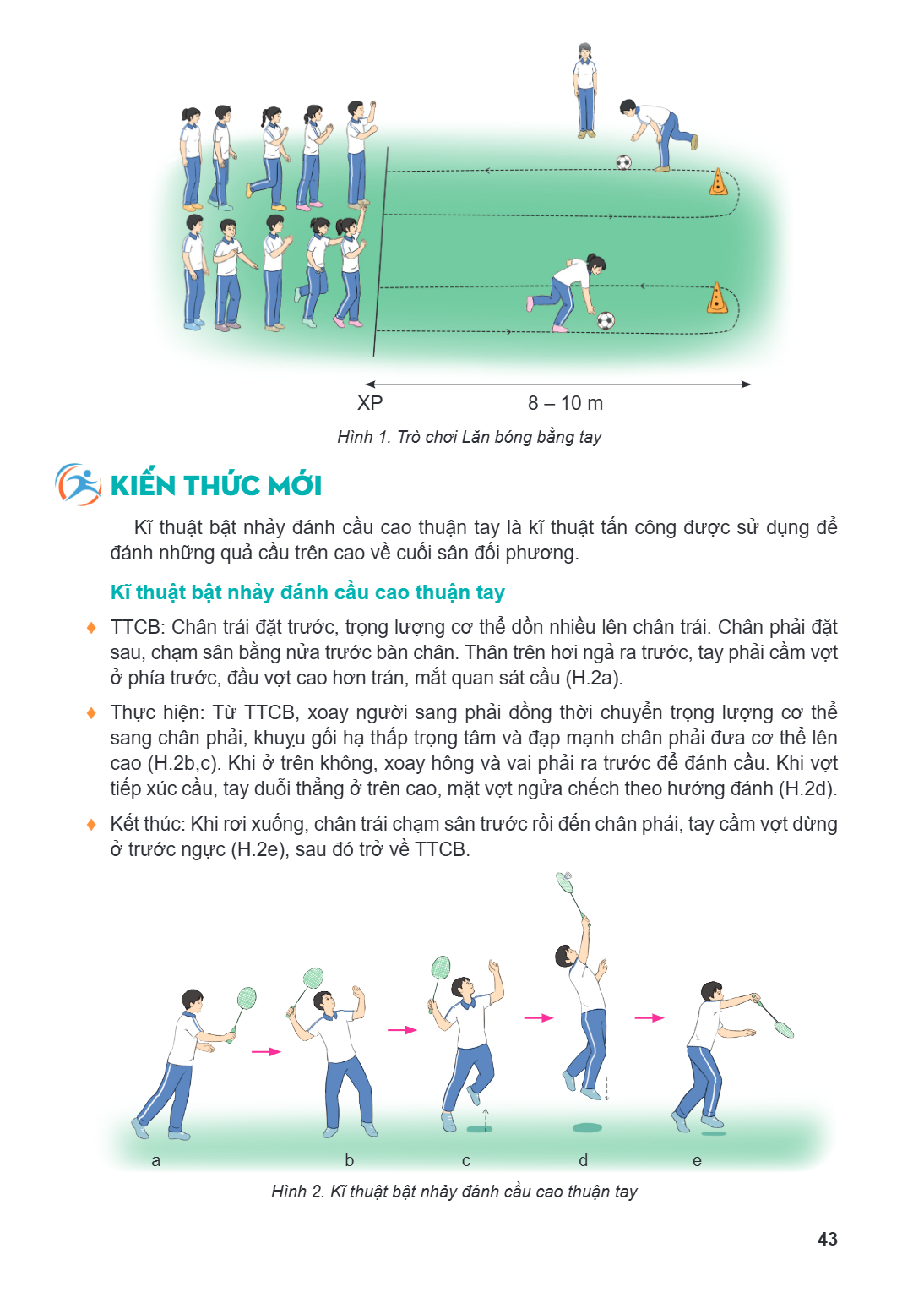 XP 8 - 10 m Hình 1. Trò chơi Lăn bóng bằng tay kiến thức mới Kĩ thuật bật nhảy đánh cầu cao thuận tay là kĩ thuật tấn công được sử dụng để đánh những quả cầu tr