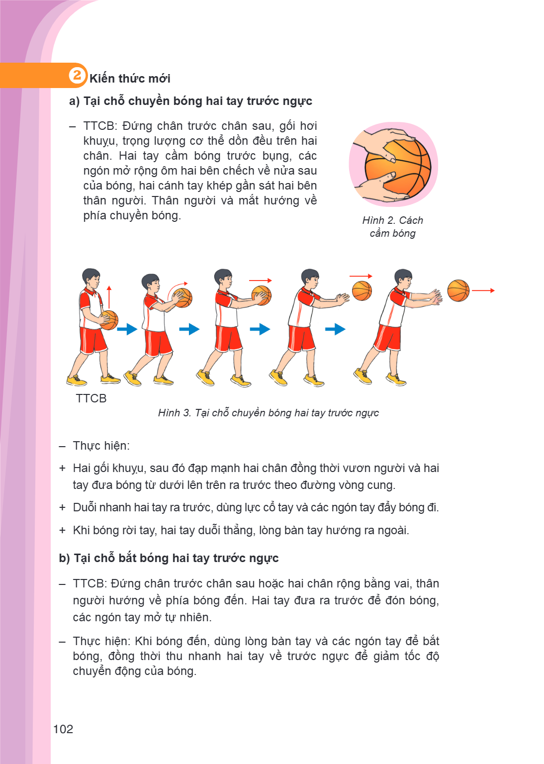 2Kiến thức mới a) Tại chỗ chuyền bóng hai tay trước ngực TTCB: Đứng chân trước chân sau, gối hơi khuỵu, trọng lượng cơ thể dồn đều trên hai chân. Hai tay cầm bó