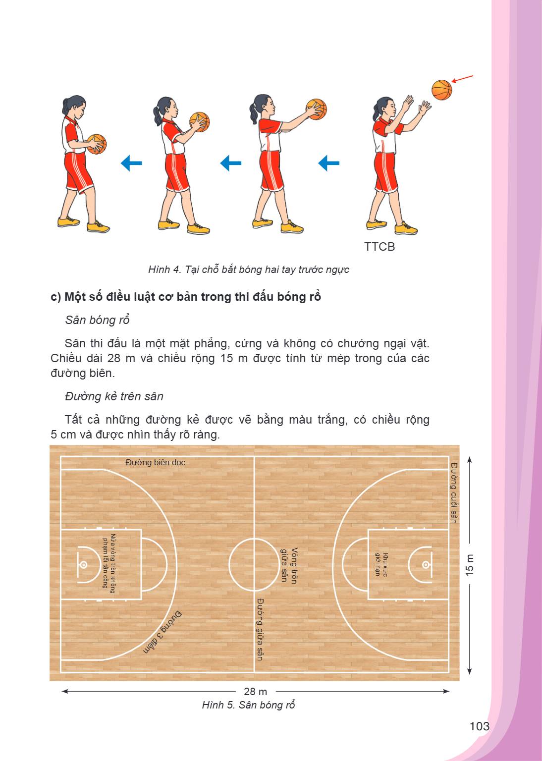 TTCB Hình 4. Tại chỗ bắt bóng hai tay trước ngực c) Một số điều luật cơ bản trong thi đấu bóng rổ Sân bóng rổ Sân thi đấu là một mặt phẳng, cứng và không có chư