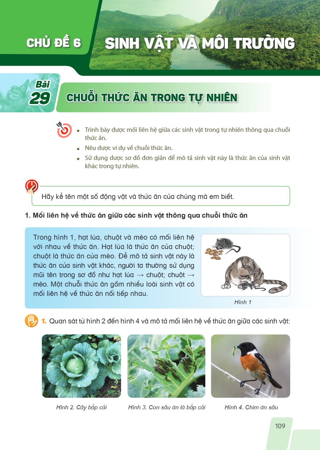 CHỦ ĐỀ 6 SINH VẬT VÀ MÔI TRƯỜNG Bài 29. Chuỗi thức ăn trong tự nhiên MỤC TIÊU: Trình bày được mối liên hệ giữa các sinh vật trong tự nhiên thông qua chuỗi thức 