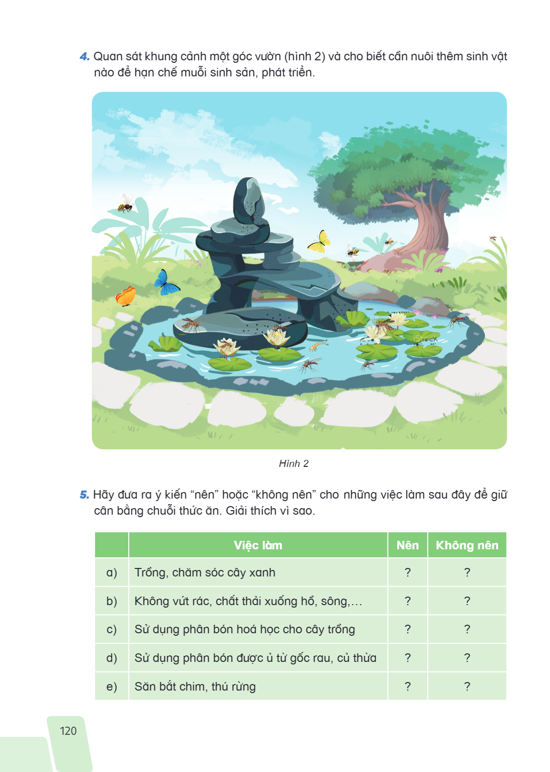 4. Quan sát khung cảnh một góc vườn (hình 2) và cho biết cần nuôi thêm sinh vật nào để hạn chế muỗi sinh sản, phát triển. Hình 2 5. Hãy đưa ra ý kiến "nên" hoặc