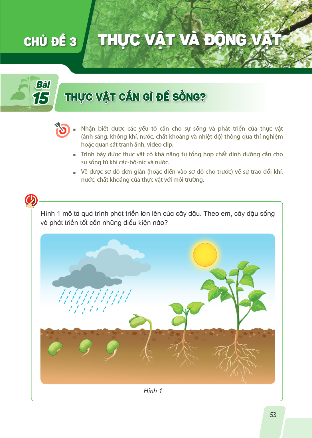 CHỦ ĐỀ 3. THỰC VẬT VÀ ĐỘNG VẬT Bài 15. Thực vật cần gì để sống? Nhận biết được các yếu tố cần cho sự sống và phát triển của thực vật (ánh sáng, không khí, nước,