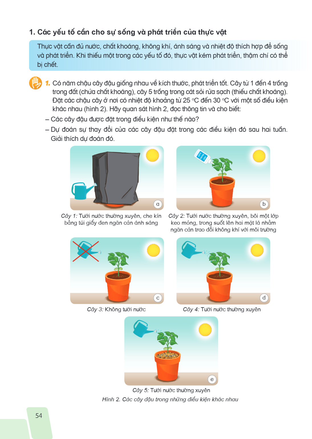 1. Các yếu tố cần cho sự sống và phát triển của thực vật Thực vật cần đủ nước, chất khoáng, không khí, ánh sáng và nhiệt độ thích hợp để sống và phát triển. Khi