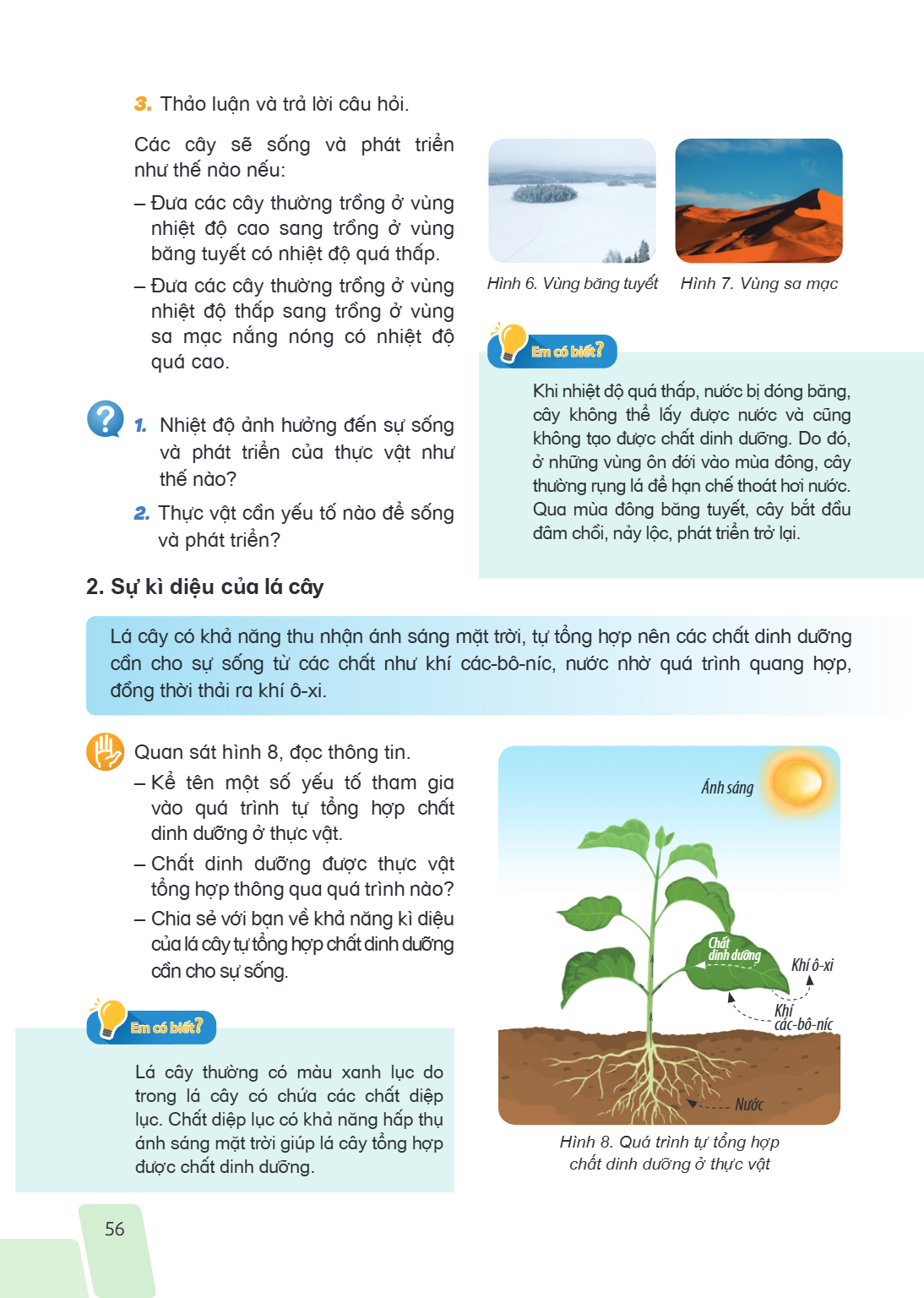Thảo luận và trả lời câu hỏi. Các cây sẽ sống và phát triển như thế nào nếu: - Đưa các cây thường trồng ở vùng nhiệt độ cao sang trồng ở vùng băng tuyết có nhiệ