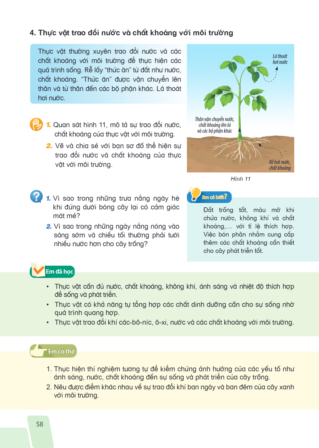 4. Thực vật trao đổi nước và chất khoáng với môi trường Thực vật thường xuyên trao đổi nước và các chất khoáng với môi trường để thực hiện các quá trình sống. R