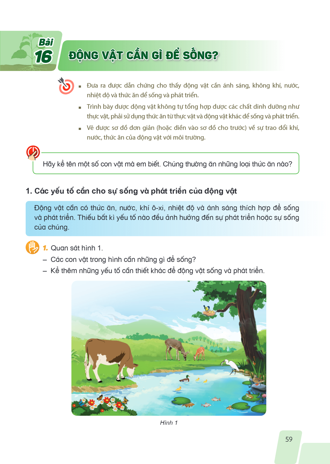 Bài 16. Động vật cần gì để sống? Hình 1 MỤC TIÊU: Đưa ra được dẫn chứng cho thấy động vật cần ánh sáng, không khí, nước, nhiệt độ và thức ăn để sống và phát tri