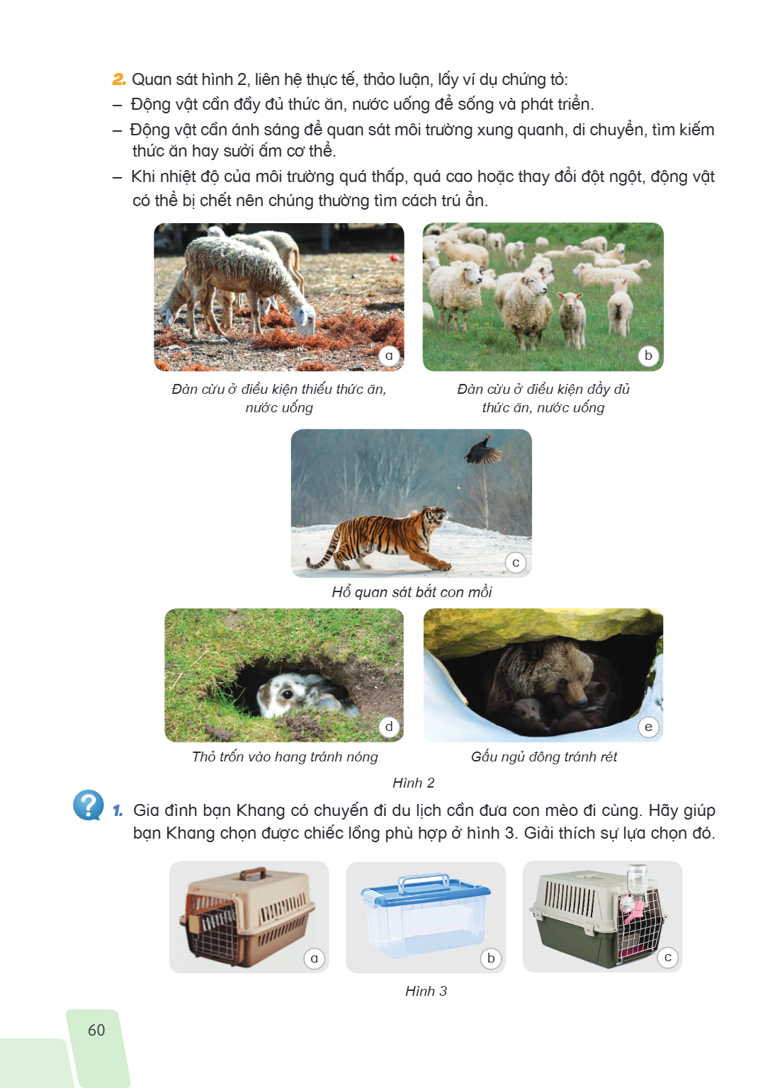 Quan sát hình 2, liên hệ thực tế, thảo luận, lấy ví dụ chứng tỏ: - Động vật cần đầy đủ thức ăn, nước uống để sống và phát triển. - Động vật cần ánh sáng để quan