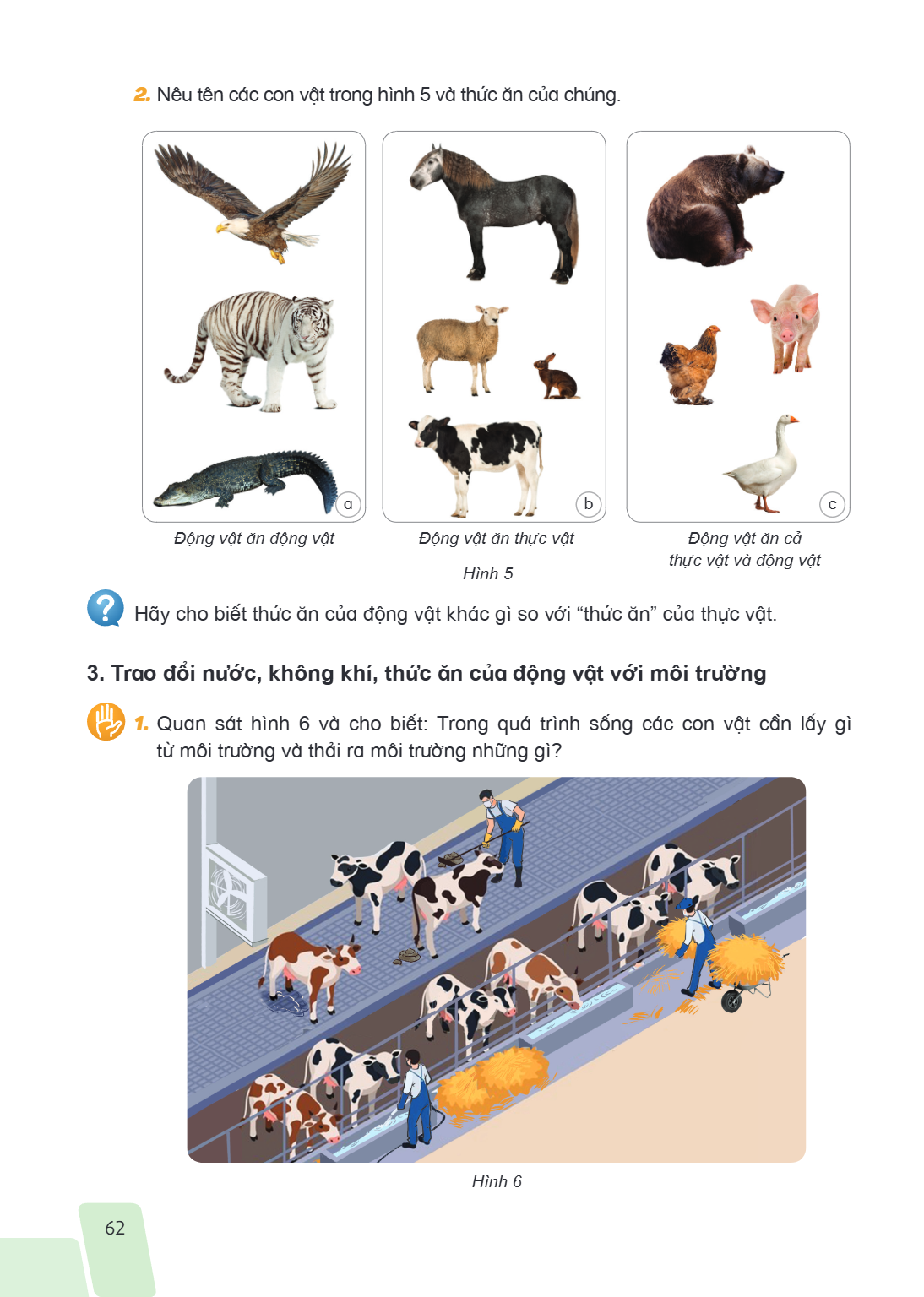 Nêu tên các con vật trong hình 5 và thức ăn của chúng. a b c Động vật ăn động vật Động vật ăn thực vật Động vật ăn cả thực vật và động vật Hình 5 Hãy cho biết t