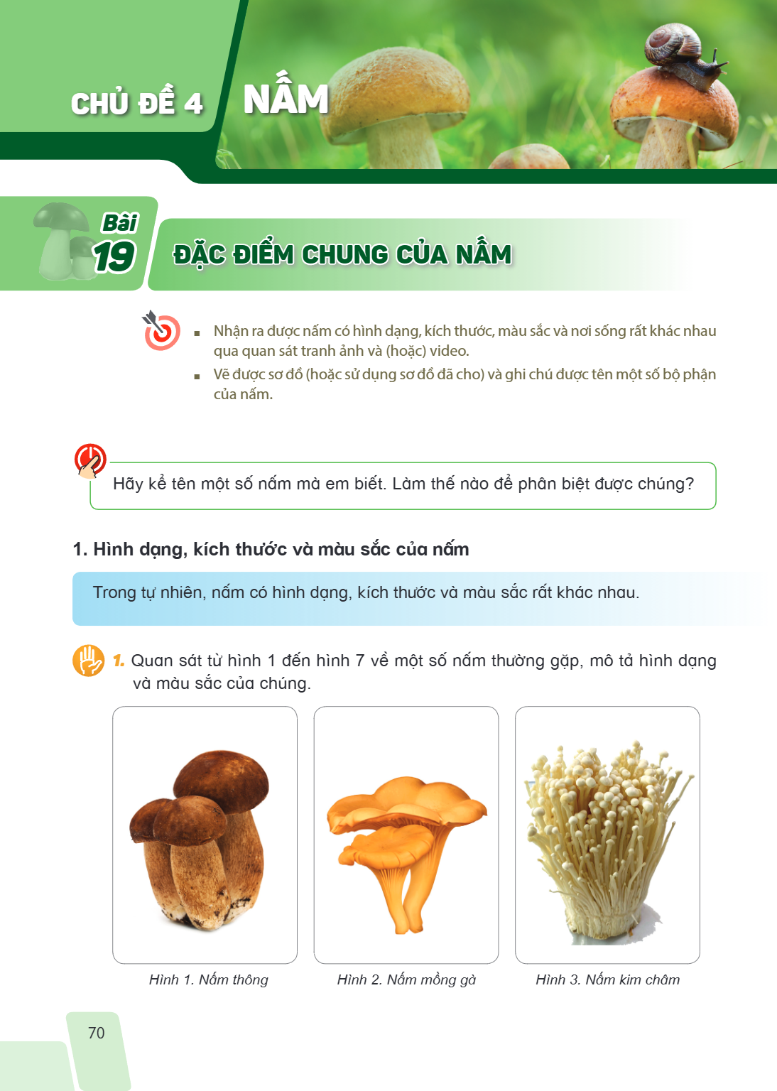 CHỦ ĐỀ 4 NẤM Bài 19. Đặc điểm chung của nấm Yêu cầu cần đạt: Nhận ra được nấm có hình dạng, kích thước, màu sắc và nơi sống rất khác nhau qua quan sát tranh ảnh