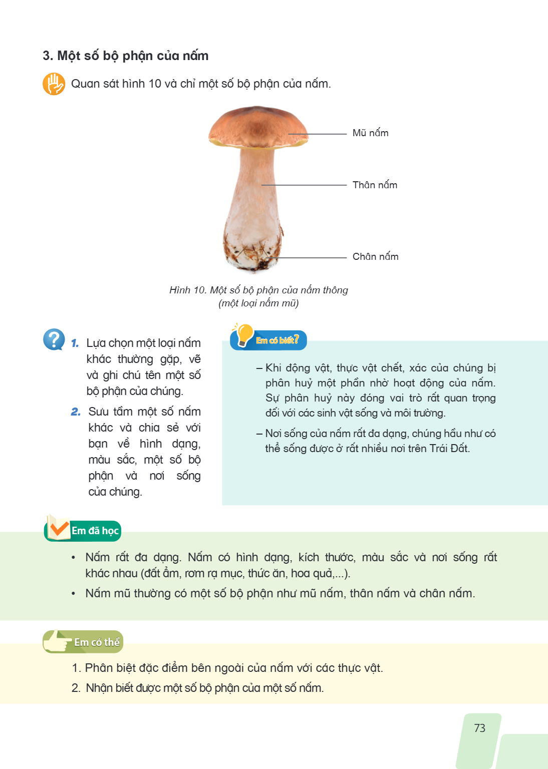 3. Một số bộ phận của nấm Quan sát hình 10 và chỉ một số bộ phận của nấm. Mũ nấm Thân nấm Chân nấm Hình 10. Một số bộ phận của nấm thông (một loại nấm mũ) Lựa c